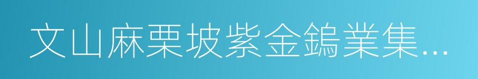 文山麻栗坡紫金鎢業集團有限公司的同義詞