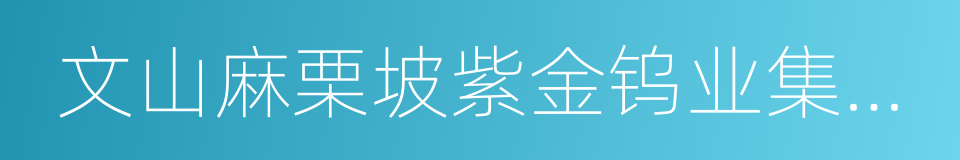 文山麻栗坡紫金钨业集团有限公司的同义词