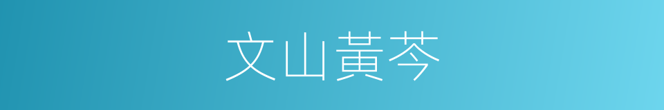 文山黃芩的同義詞