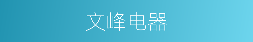 文峰电器的同义词