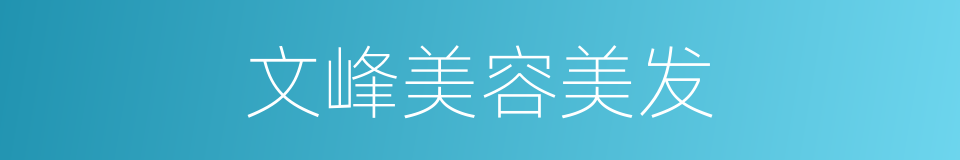 文峰美容美发的同义词