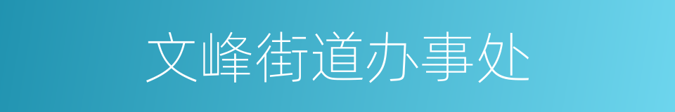 文峰街道办事处的同义词