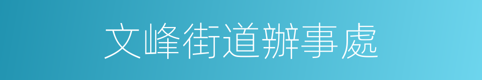 文峰街道辦事處的同義詞