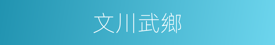 文川武鄉的意思