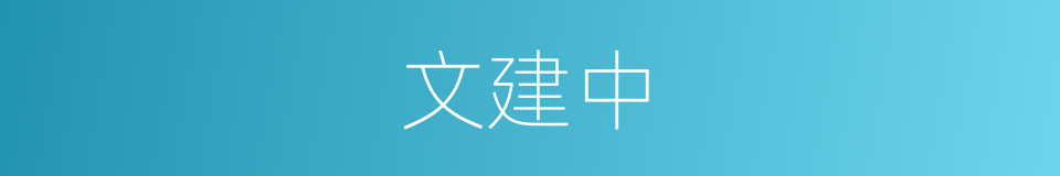文建中的同义词