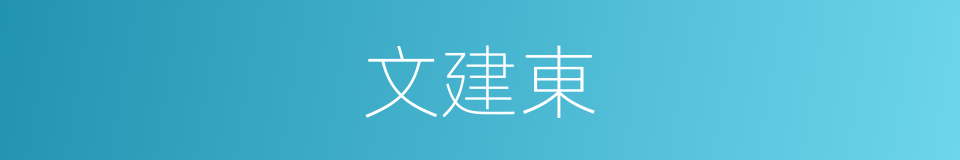 文建東的同義詞