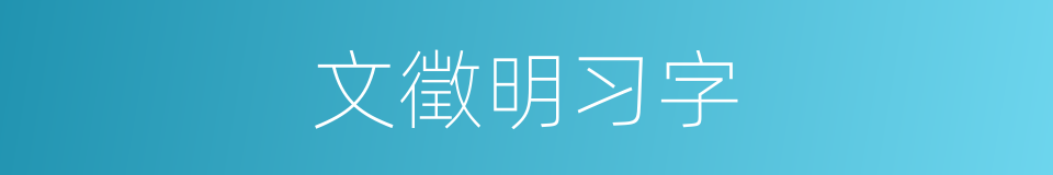 文徵明习字的同义词