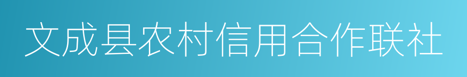 文成县农村信用合作联社的同义词