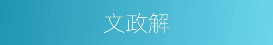 文政解的同义词