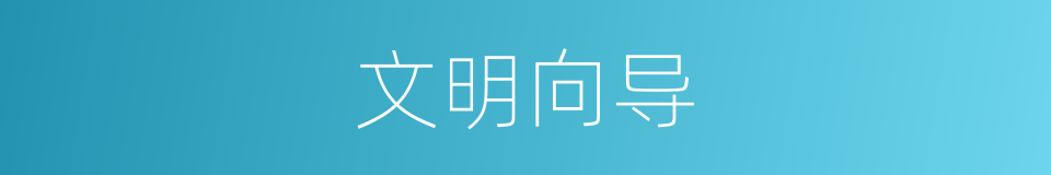 文明向导的同义词