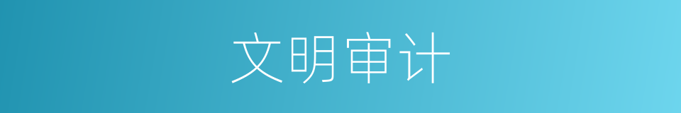 文明审计的同义词