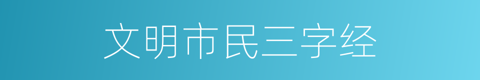 文明市民三字经的同义词