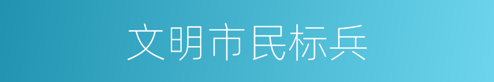 文明市民标兵的同义词