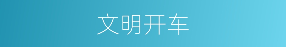 文明开车的同义词