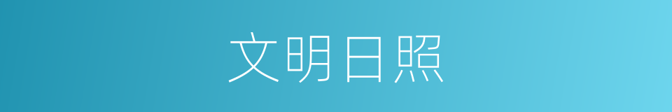 文明日照的同义词