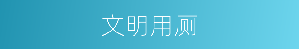 文明用厕的同义词
