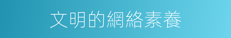 文明的網絡素養的同義詞