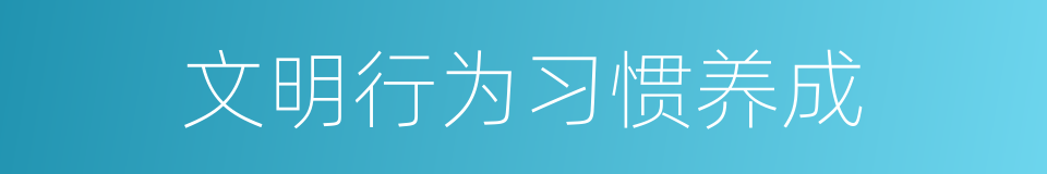 文明行为习惯养成的同义词