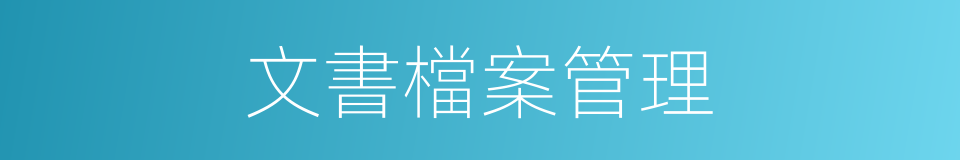 文書檔案管理的同義詞