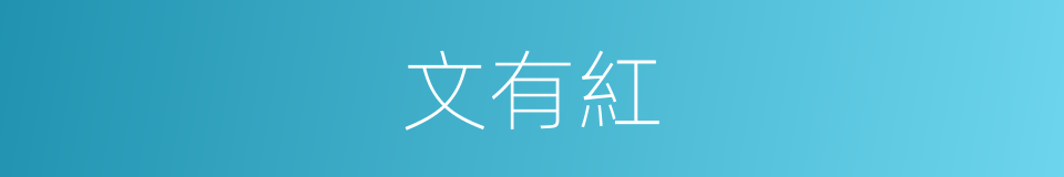 文有紅的同義詞