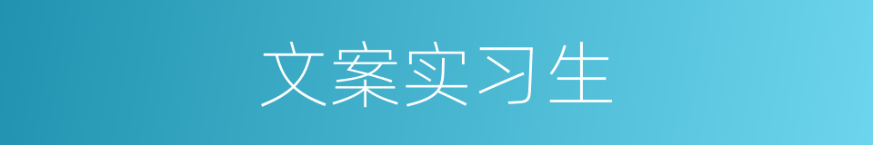 文案实习生的同义词