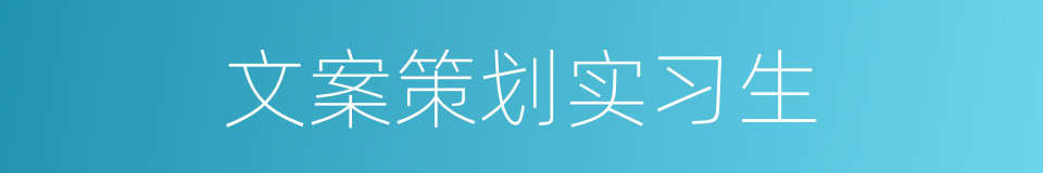 文案策划实习生的同义词