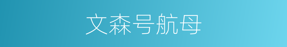 文森号航母的同义词