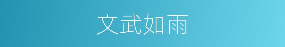 文武如雨的意思