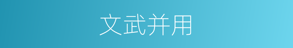 文武并用的意思