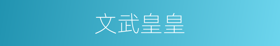 文武皇皇的同义词
