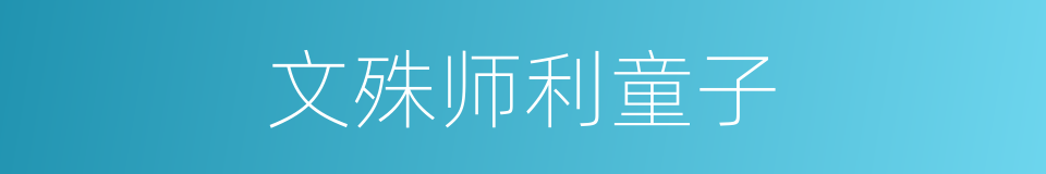 文殊师利童子的同义词