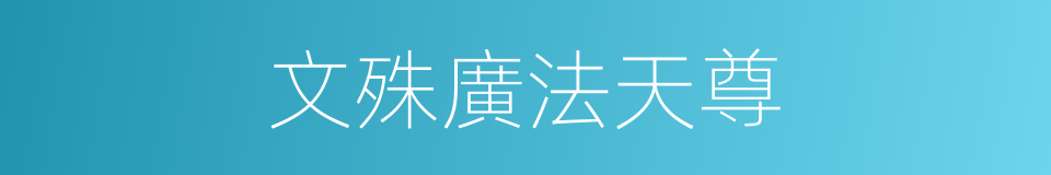 文殊廣法天尊的同義詞