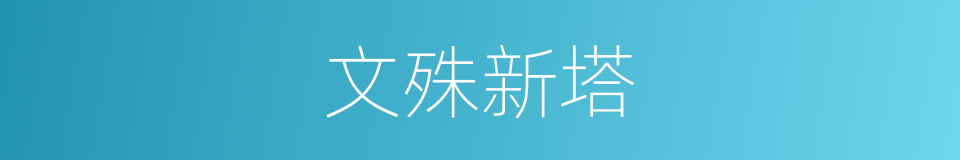 文殊新塔的同义词