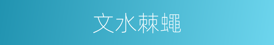 文水棘蠅的同義詞