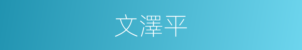 文澤平的同義詞