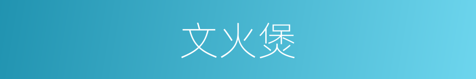 文火煲的同义词