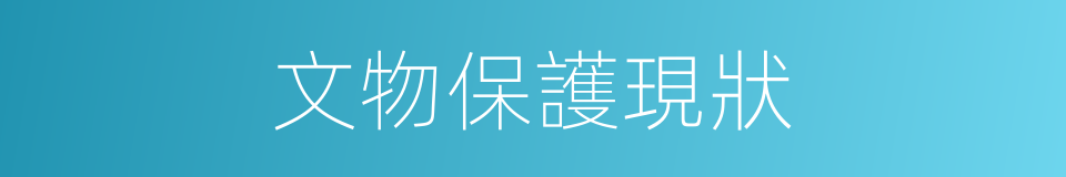 文物保護現狀的同義詞