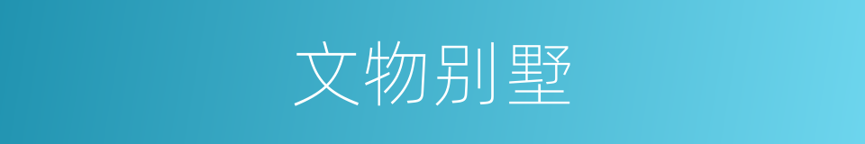 文物别墅的同义词