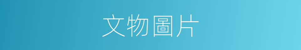 文物圖片的同義詞