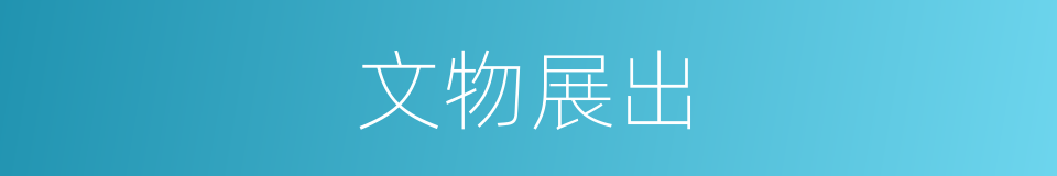 文物展出的同义词