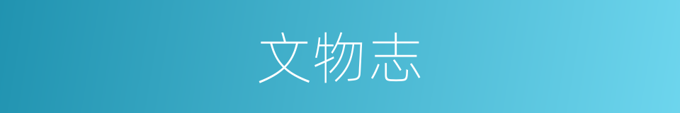文物志的同义词