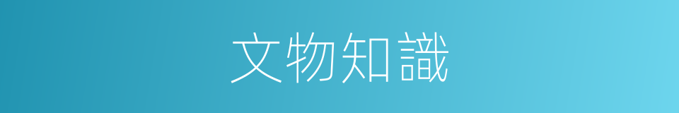 文物知識的同義詞