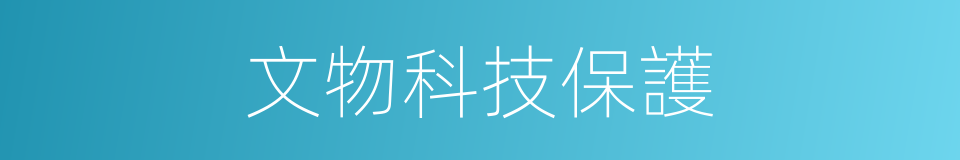 文物科技保護的同義詞
