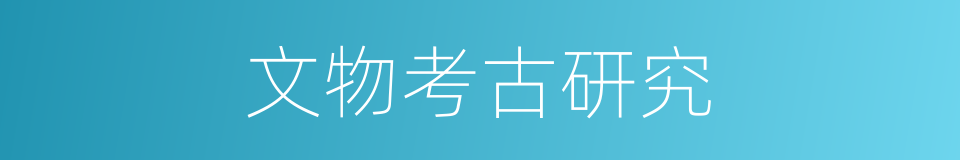 文物考古研究的同义词
