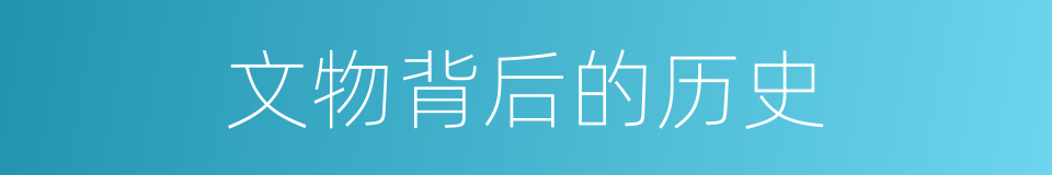 文物背后的历史的同义词