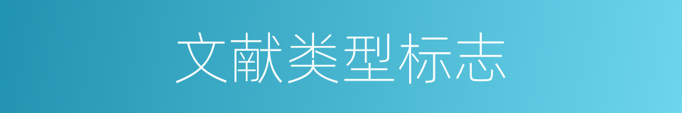 文献类型标志的同义词