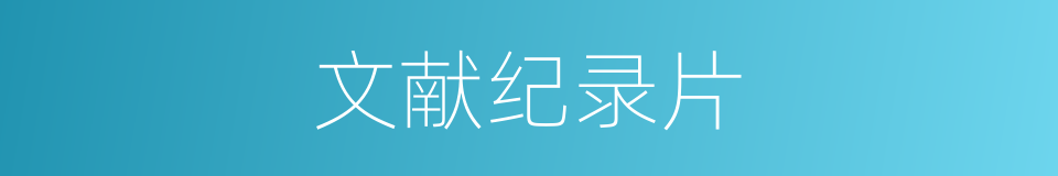 文献纪录片的同义词