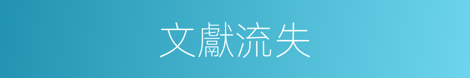 文獻流失的同義詞