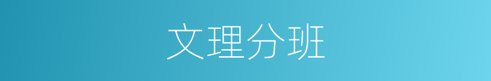 文理分班的同义词