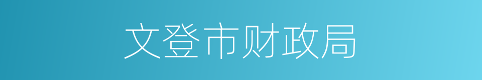 文登市财政局的同义词